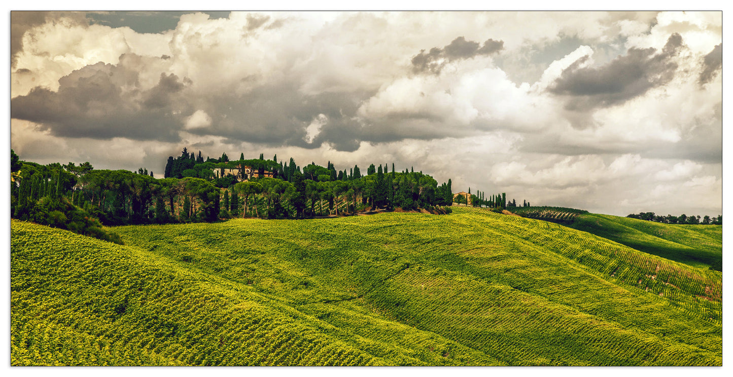 Tuscany cm 140x70