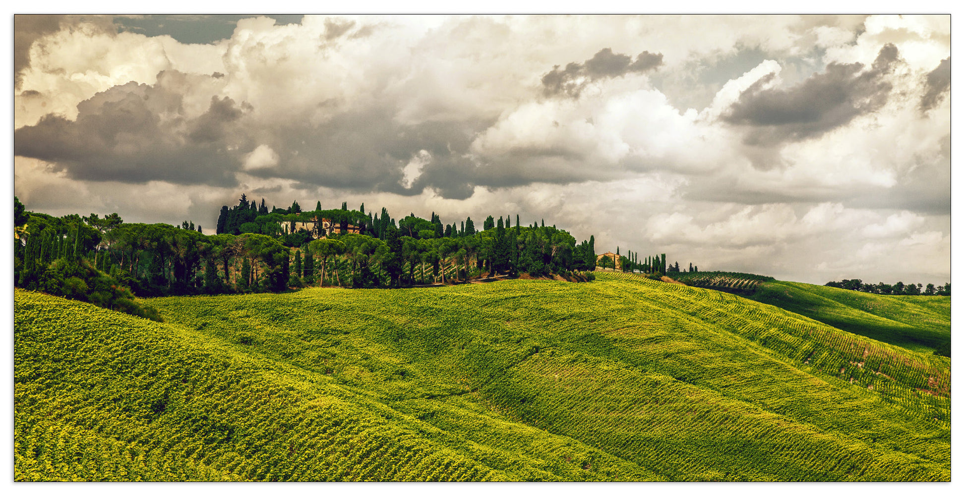 Tuscany cm 140x70
