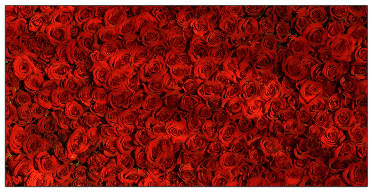 Red roses cm 140x70