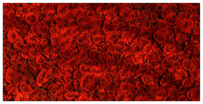 Red roses cm 140x70
