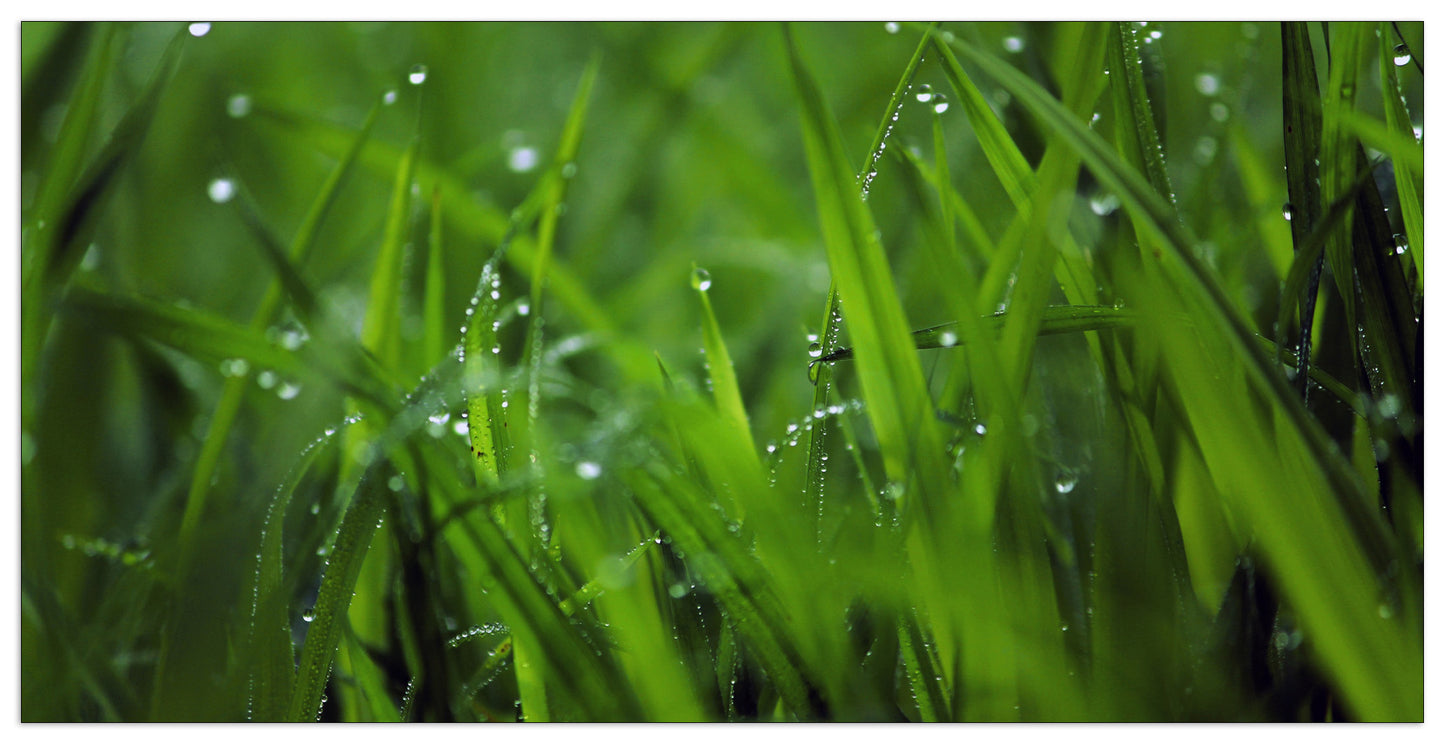 Green cm 140x70