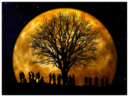Man in the moon cm 120x90