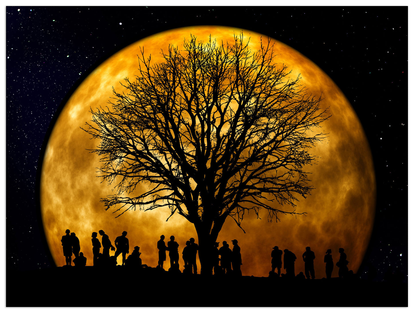 Man in the moon cm 80x60