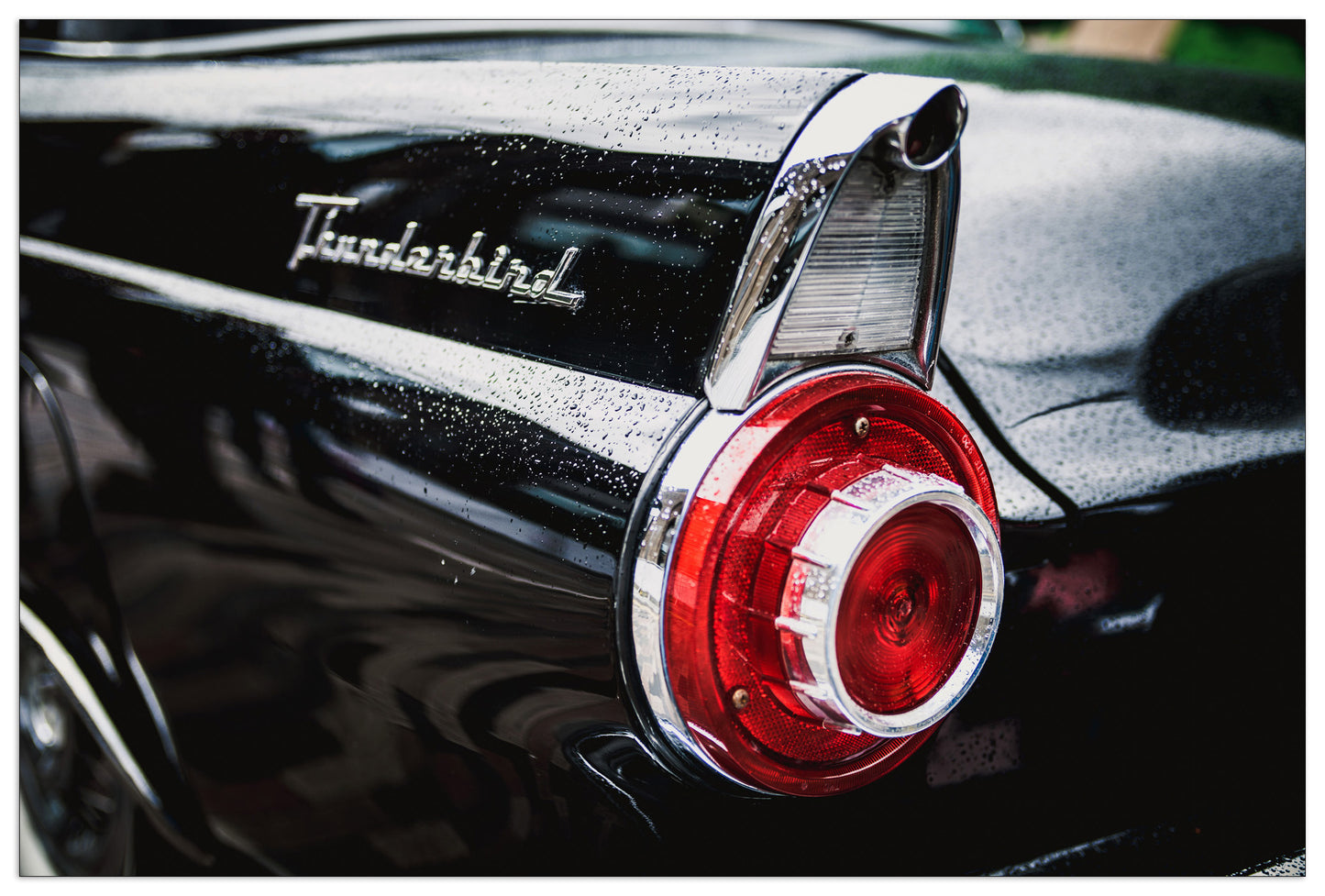 Thunderbird cm 135x90