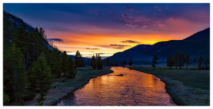 Yellowstone cm 100x50
