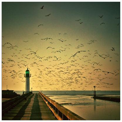 Lighthouse cm 70x70