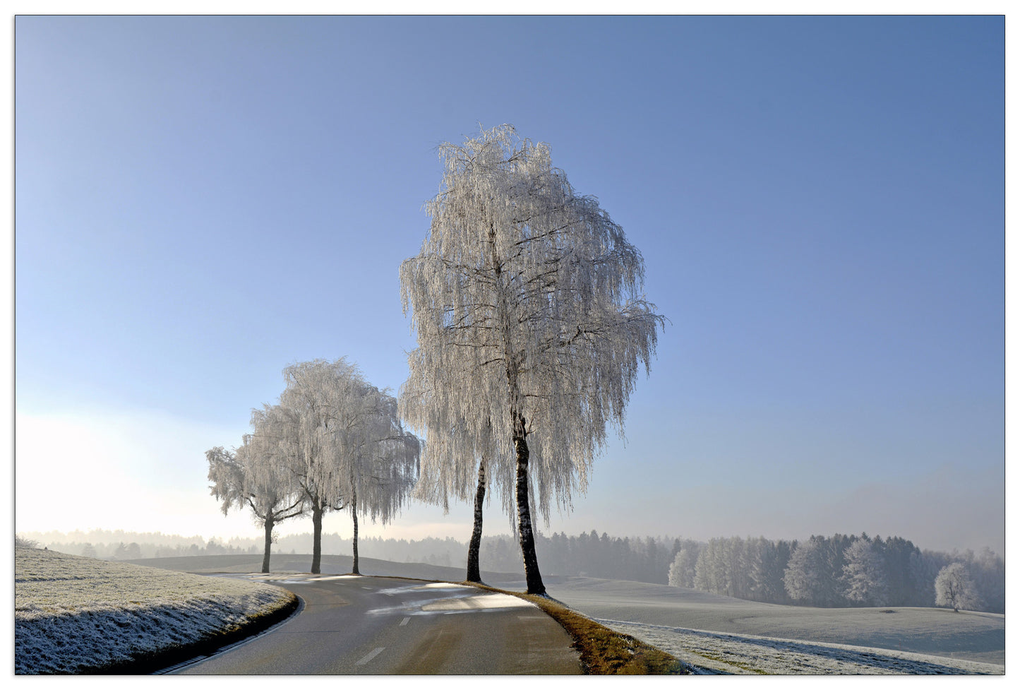 Wintry cm 90x60