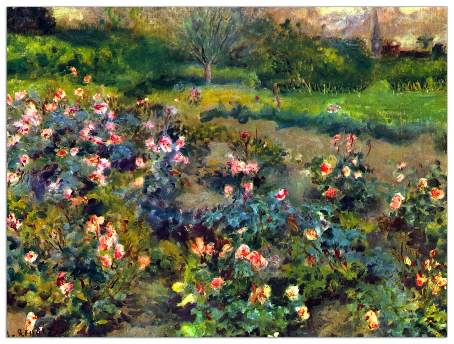 Rose grove cm 80x60