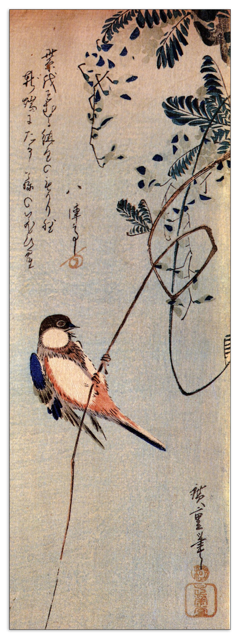 A bird on a wisteria cm 50x140