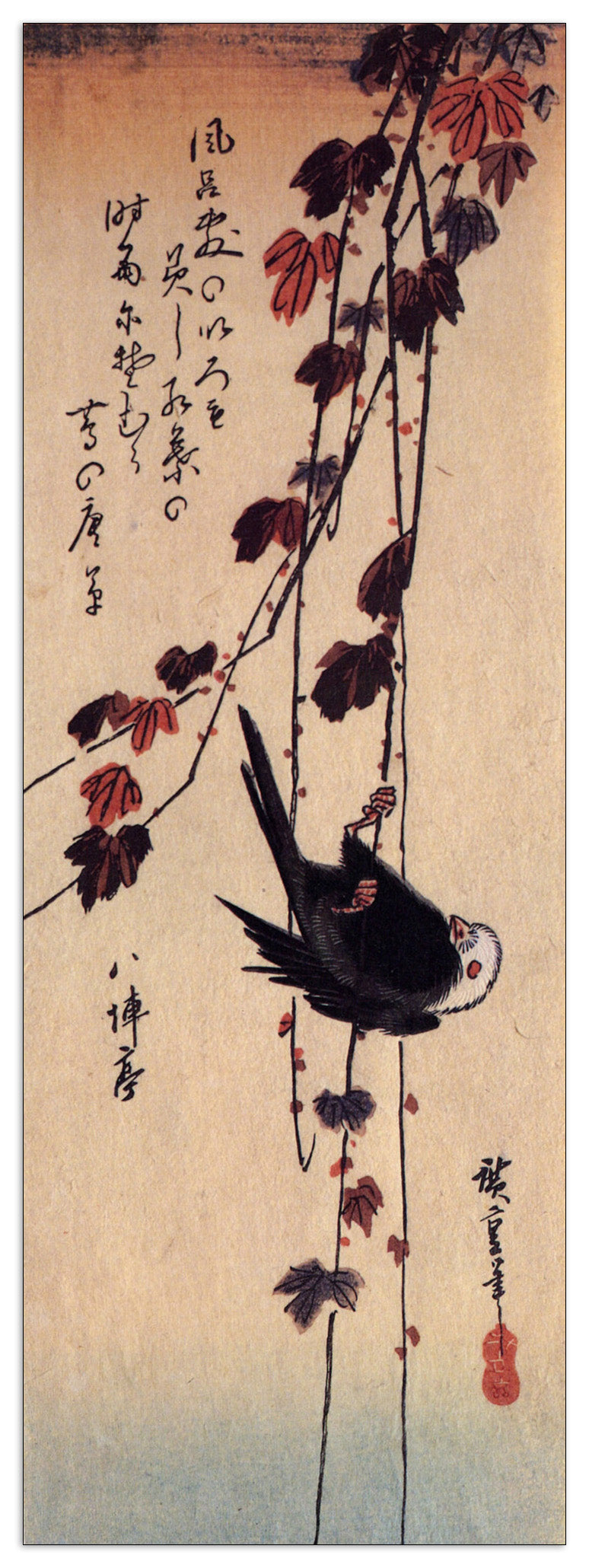 A small black bird hanging on ivy cm 50x140