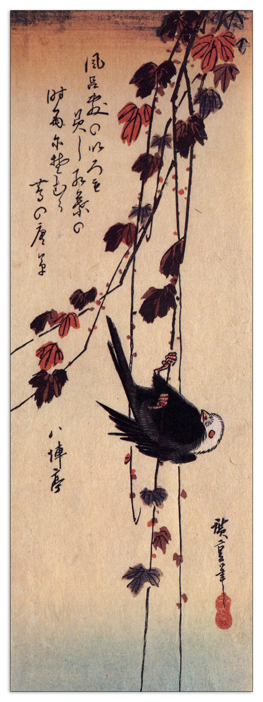 A small black bird hanging on ivy cm 50x140