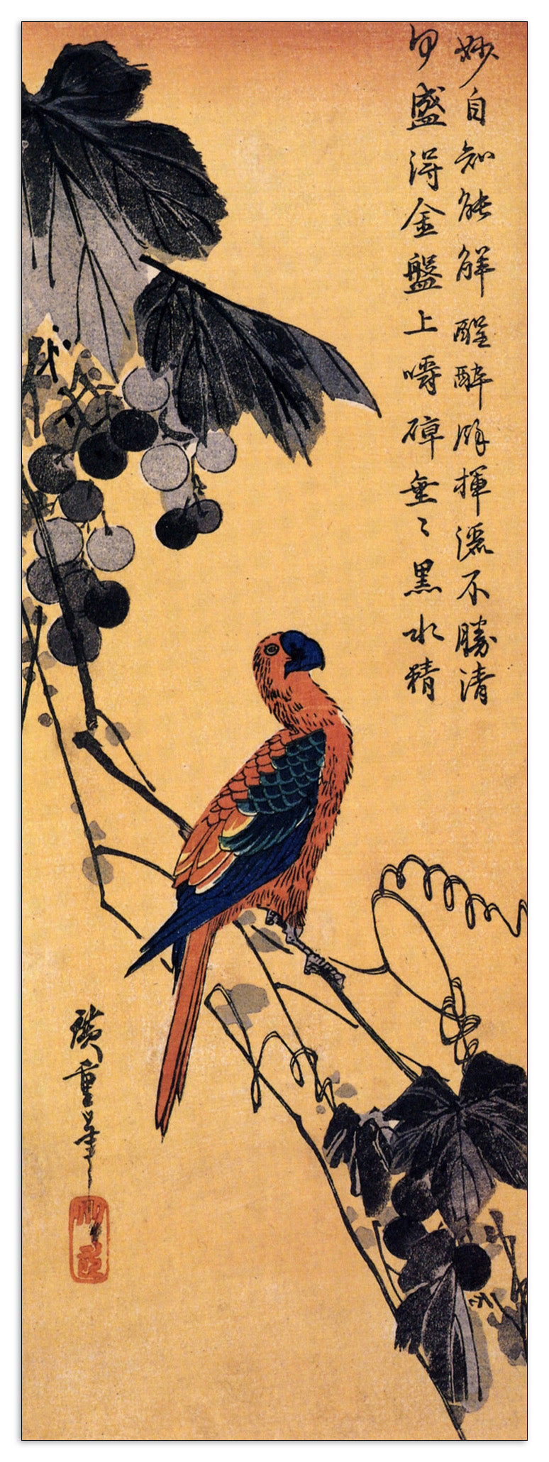 Ara on a vine cm 50x140
