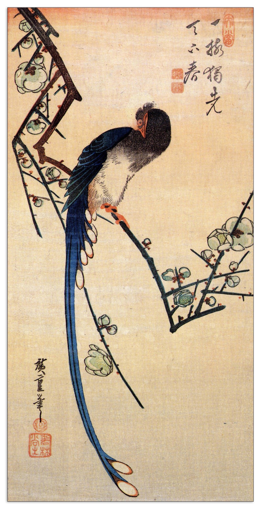 Blue bird on a plumtree cm 50x100