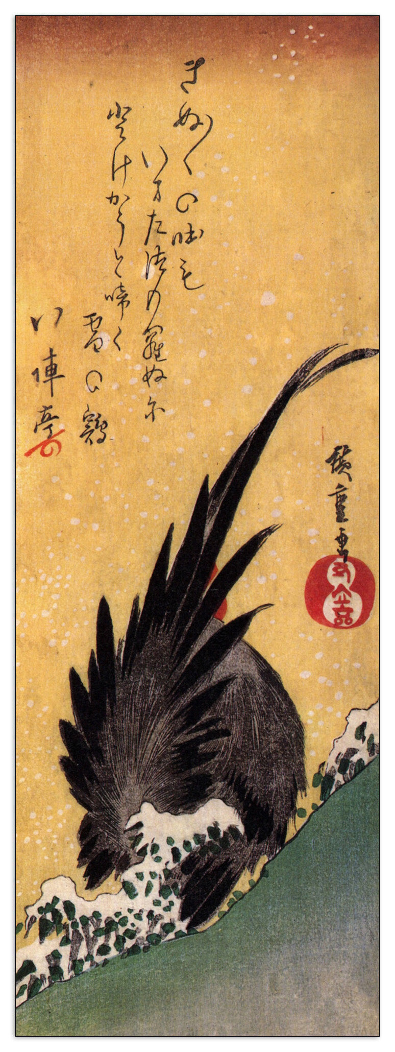 Cock in snow cm 50x140