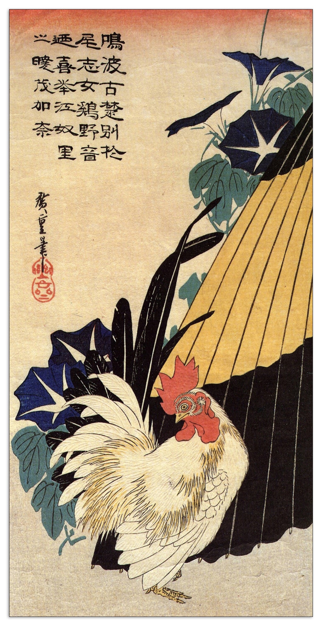 Cock, umbrella and morning glory cm 50x100