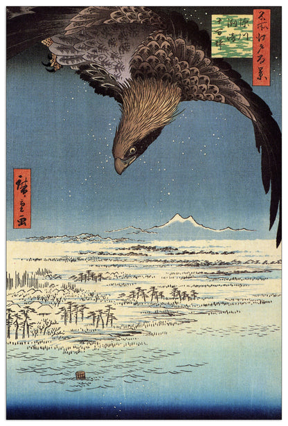 Eagle over the lowlands near Susaki cm 60x90