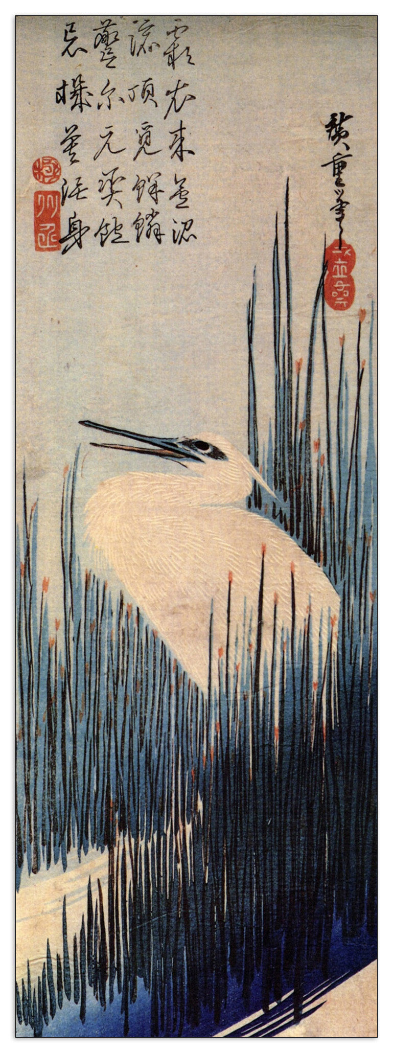 Egret cm 50x140
