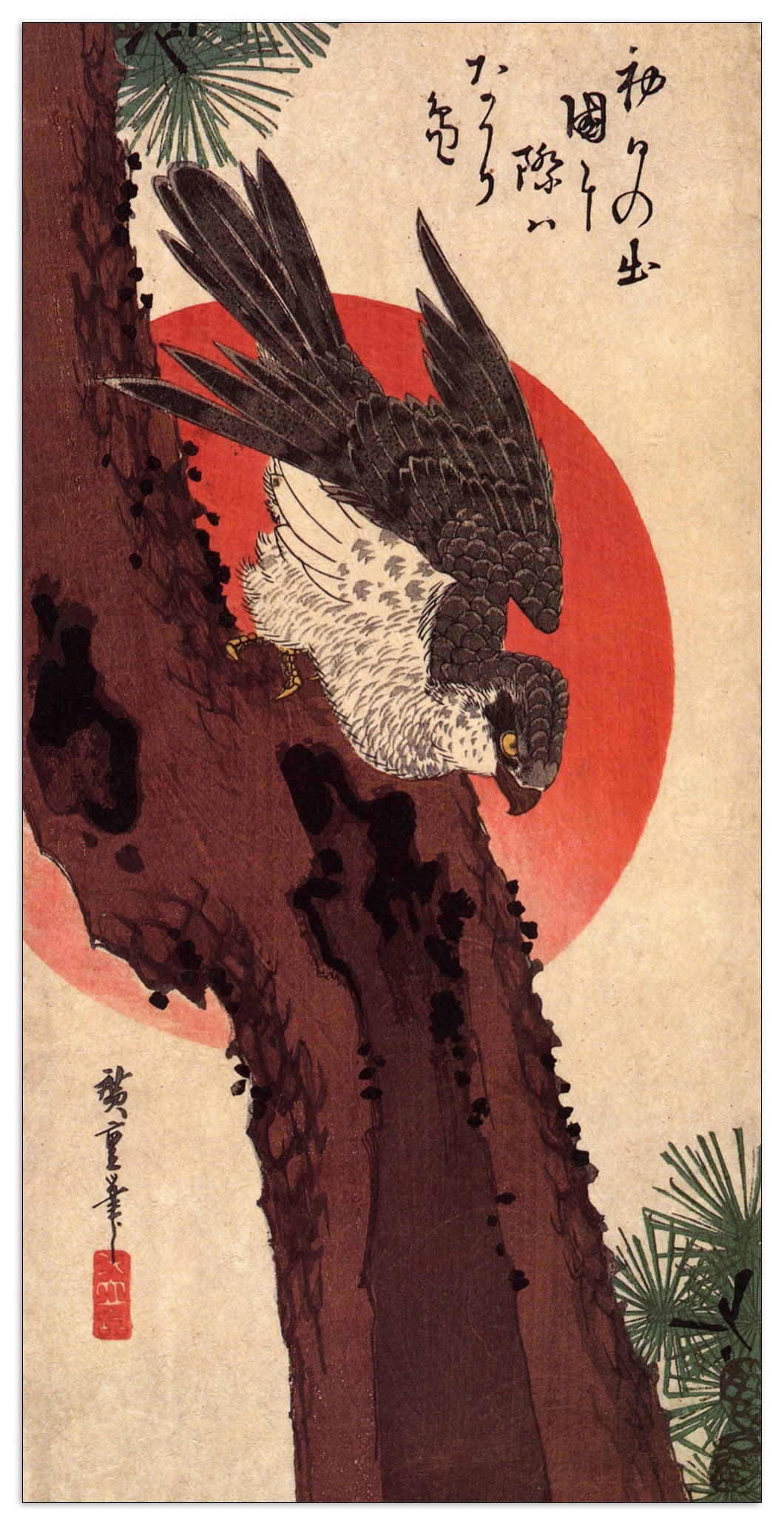 Falcon on a pine with rising sun cm 50x100