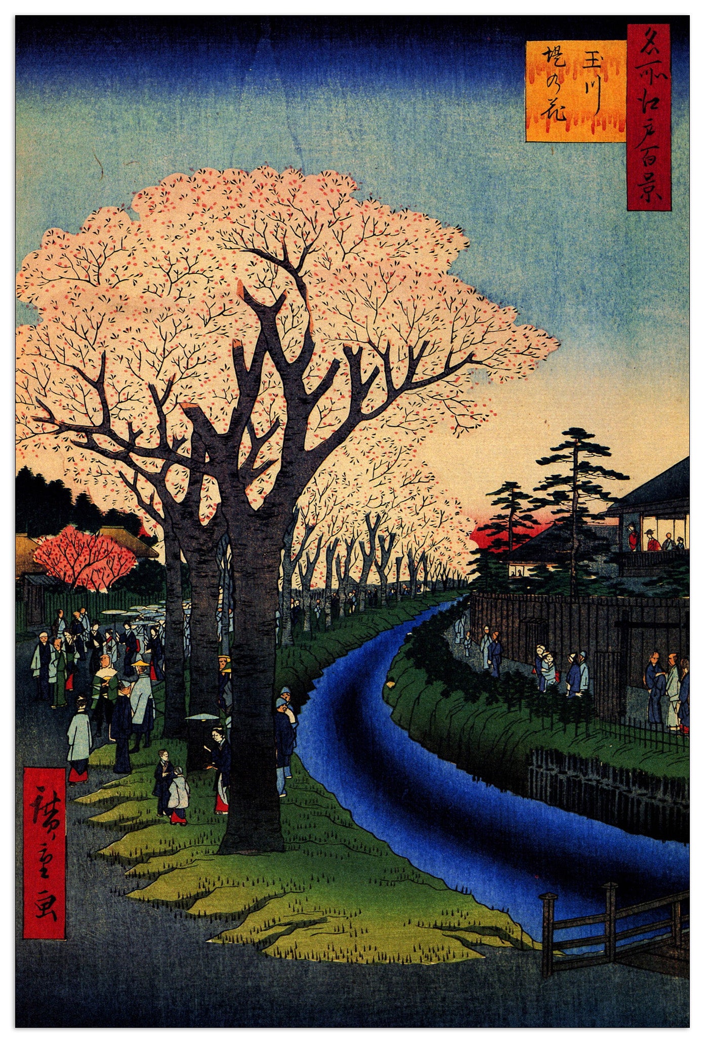 Blossoms on the Tama River cm 60x90