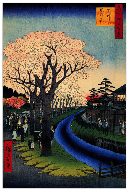 Blossoms on the Tama River cm 60x90