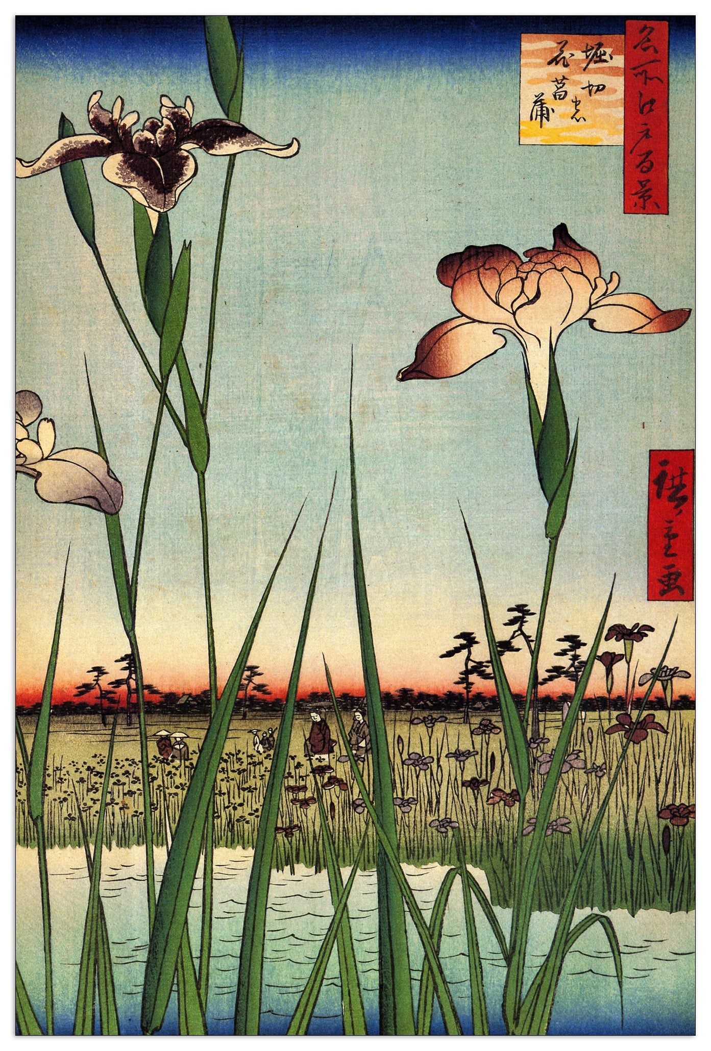Iris Garden cm 60x90