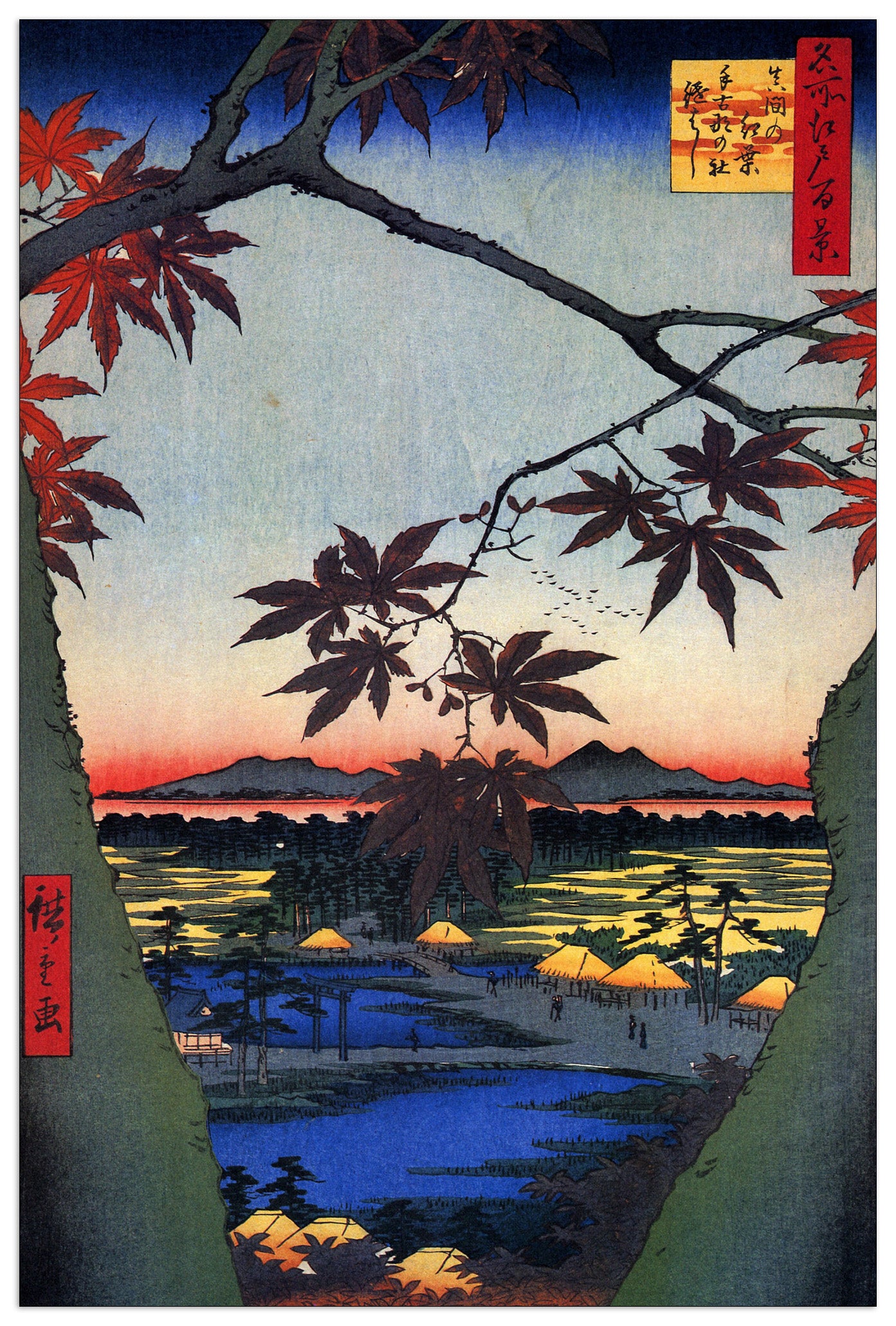 Maple Trees at Mama cm 60x90