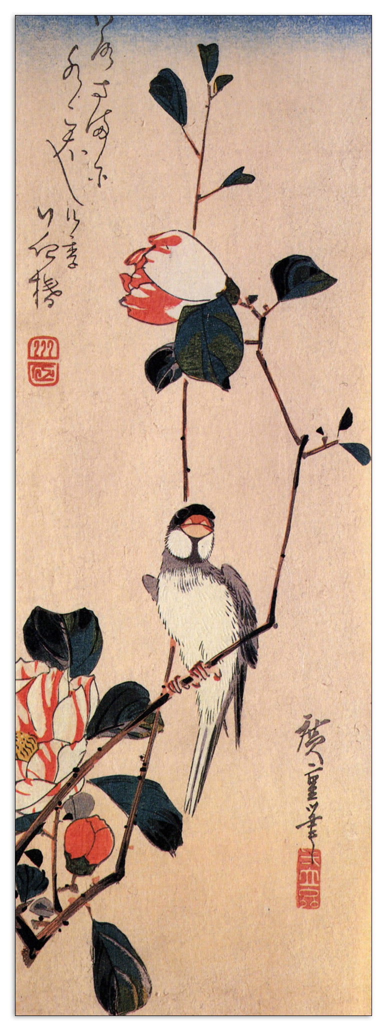 Java sparrow on a magnolia branch cm 50x140