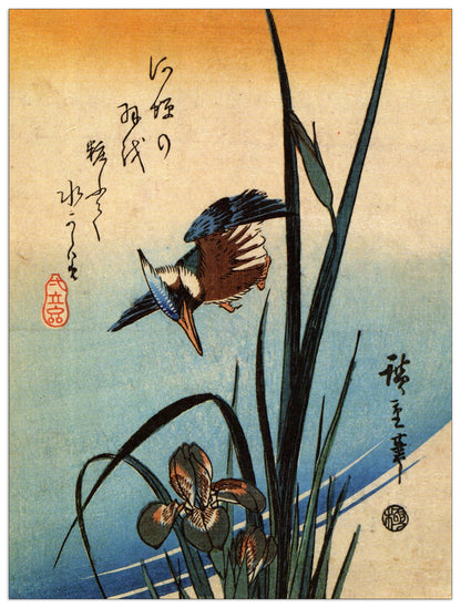 Kingfisher and lilies II cm 60x80
