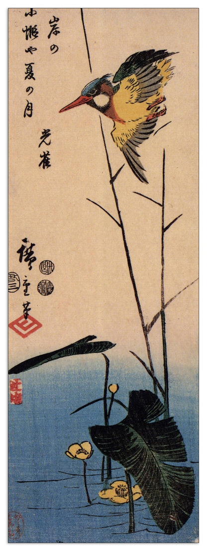 Kingfisher over yellow waterplant cm 50x140