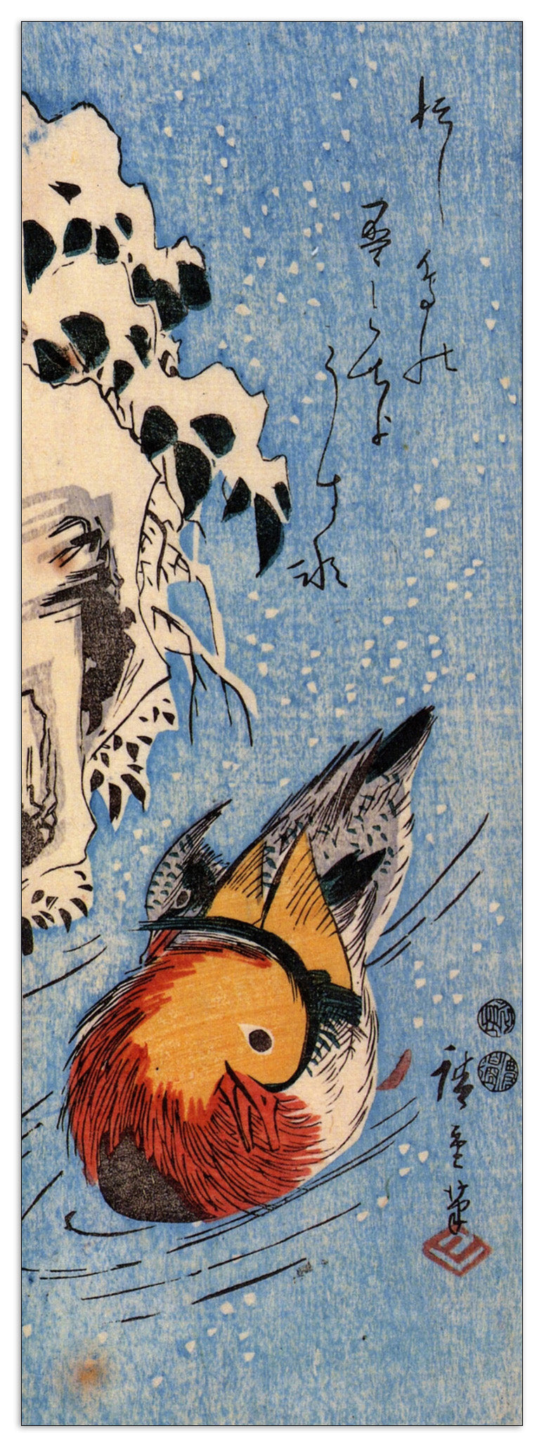 Mandarin duck on a lake cm 50x140