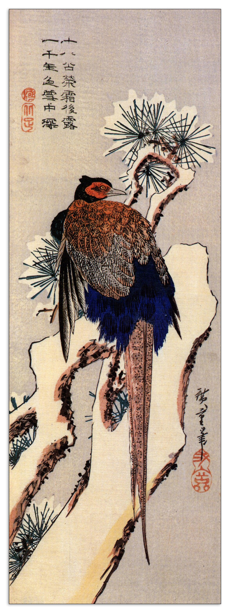 Pheasant on a snow covered pine cm 50x140