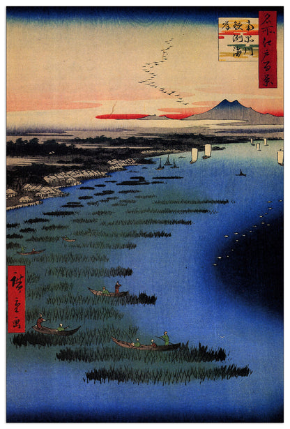 Samezu Coast cm 60x90