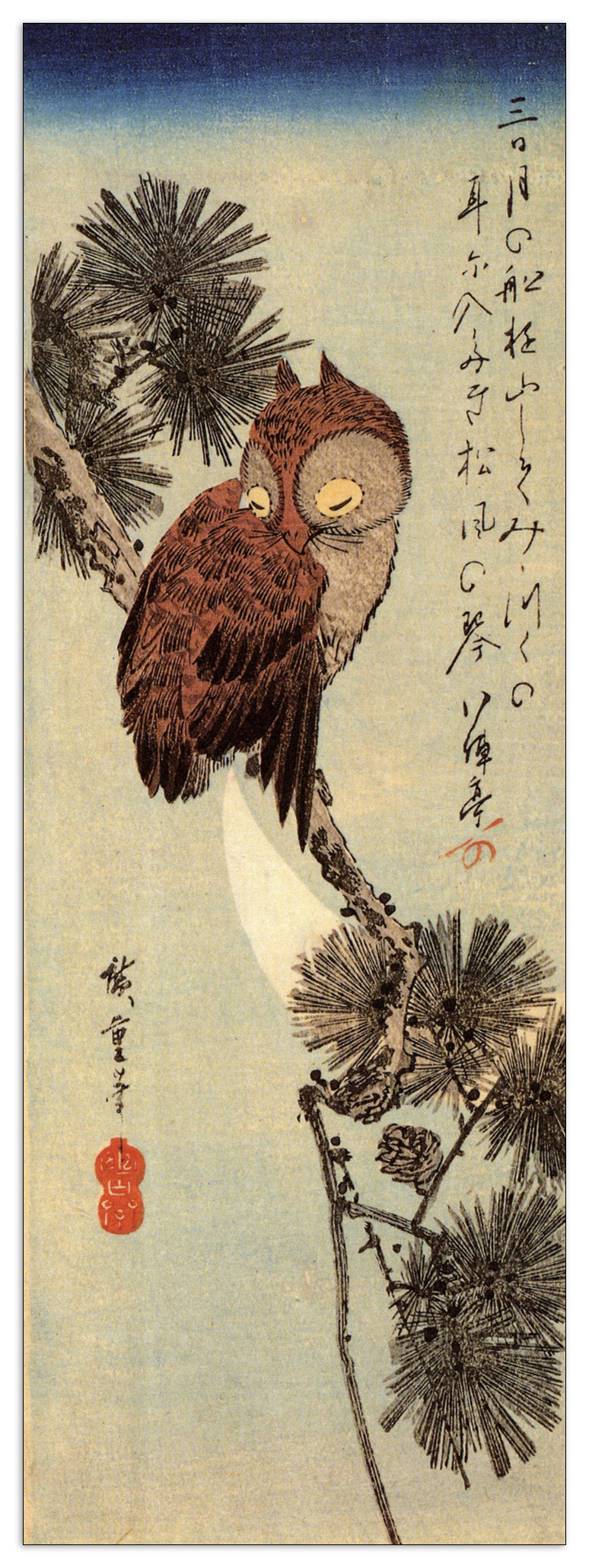 Small brown Owl on a Pine branch cm 50x140