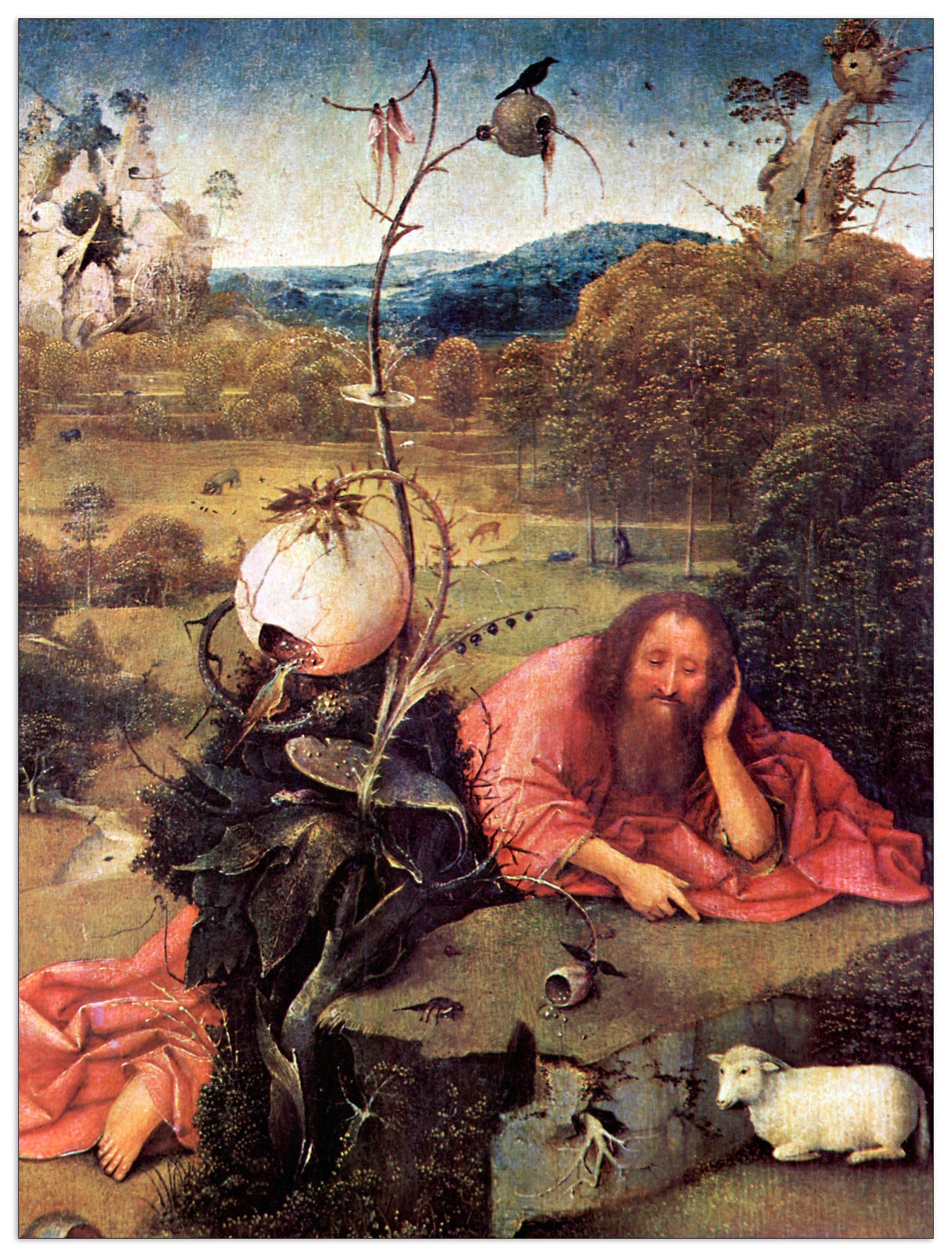 Meditator St. John the Baptist cm 60x80