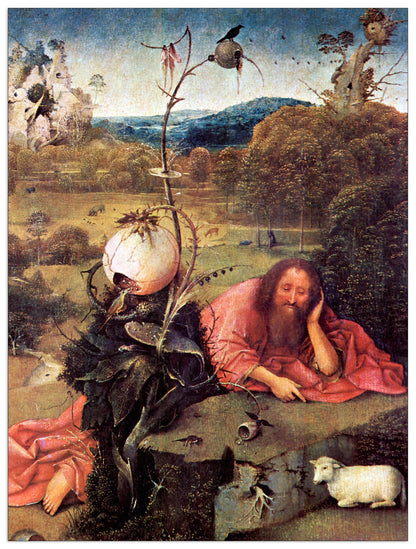 Meditator St. John the Baptist cm 60x80