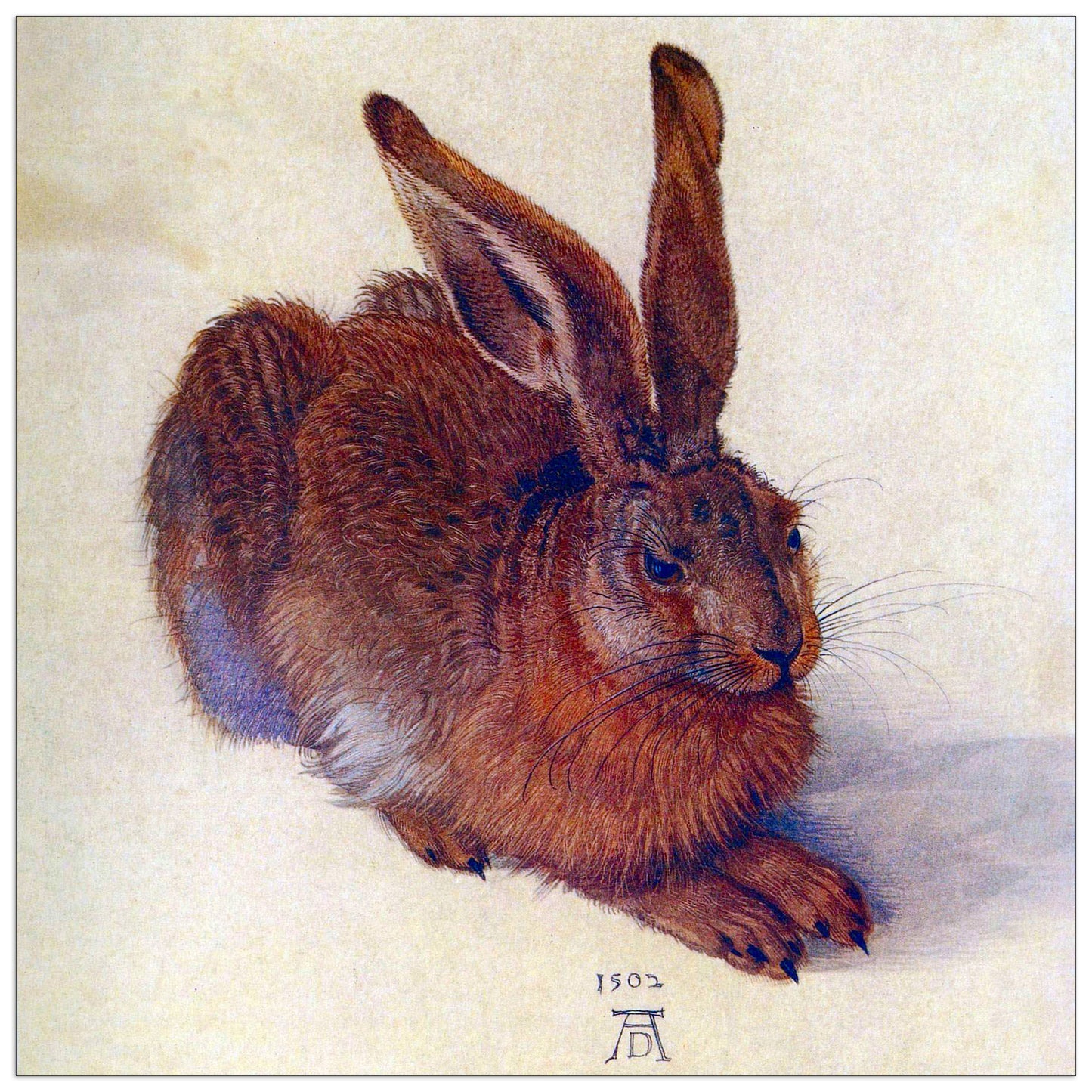 Field hare cm 70x70
