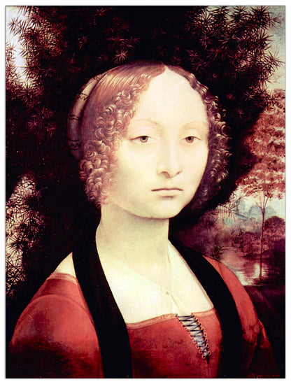 Portrait of a Dame (Ginevra Benci) cm 60x80