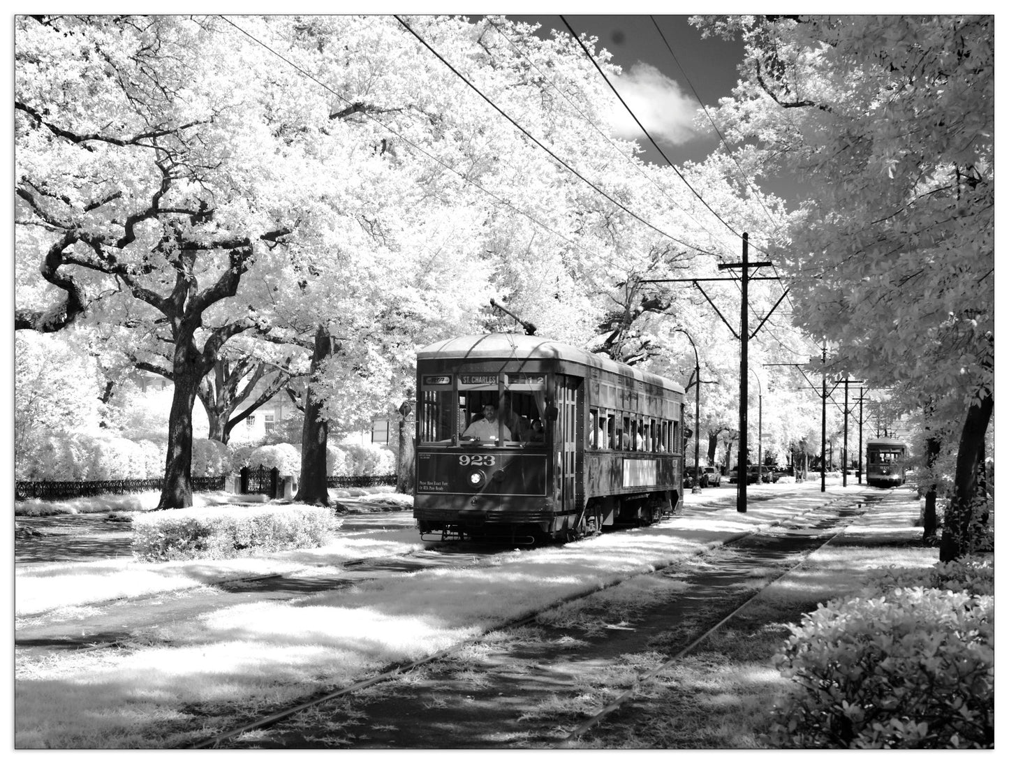 Tram cm 80x60