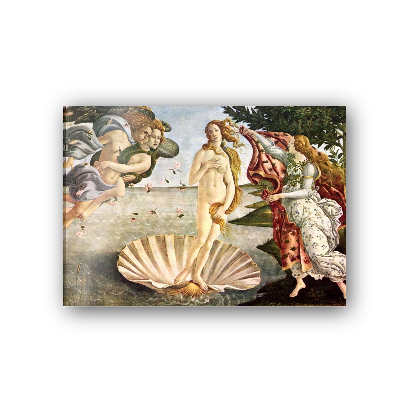Homage to Botticelli - Birth of Venus cm 70x50