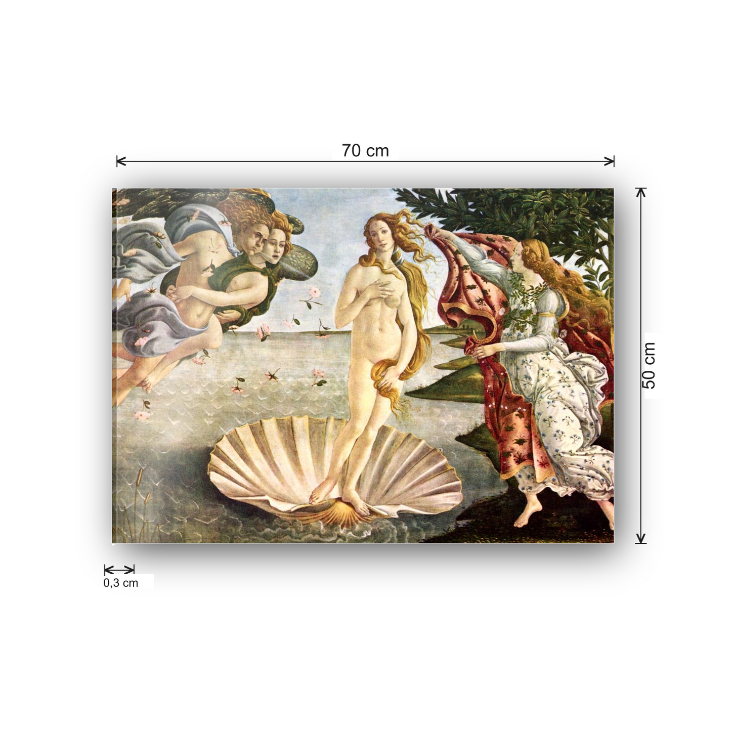 Homage to Botticelli - Birth of Venus cm 70x50 - misure