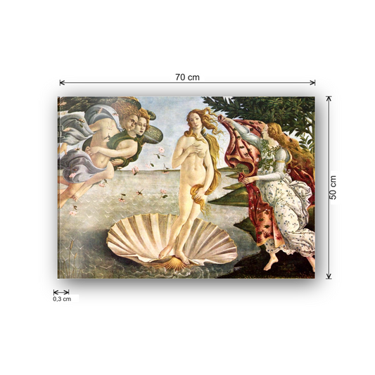 Homage to Botticelli - Birth of Venus cm 70x50 - misure
