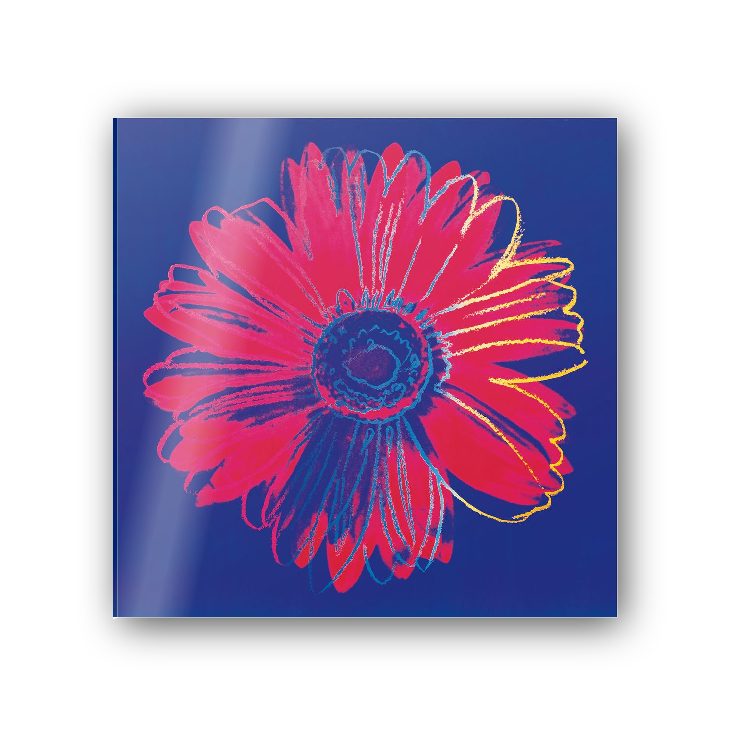 Homage to Warhol - Daisy, C.1982 cm 50x50