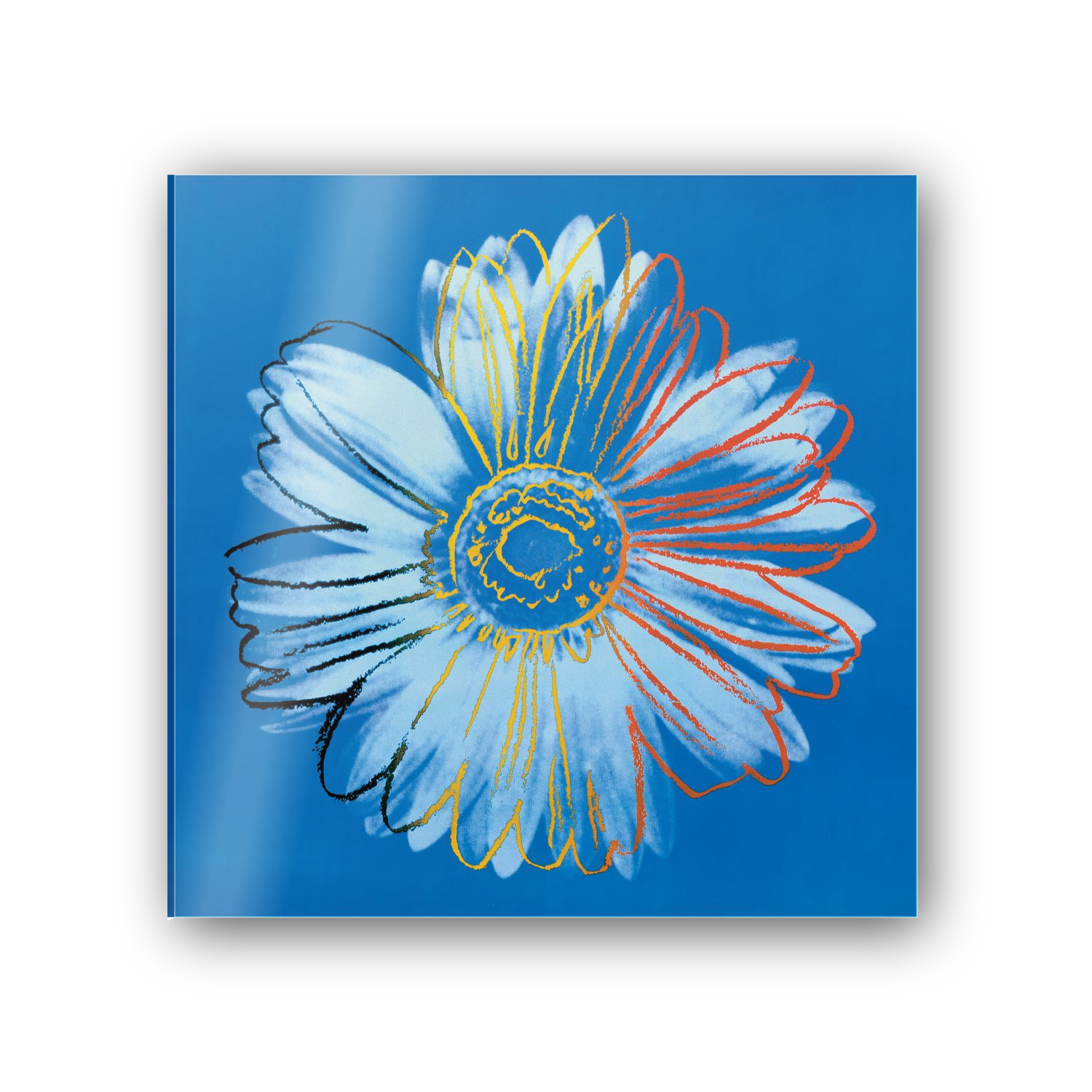 Homage to Warhol - Daisy, C.1982 cm 50x50