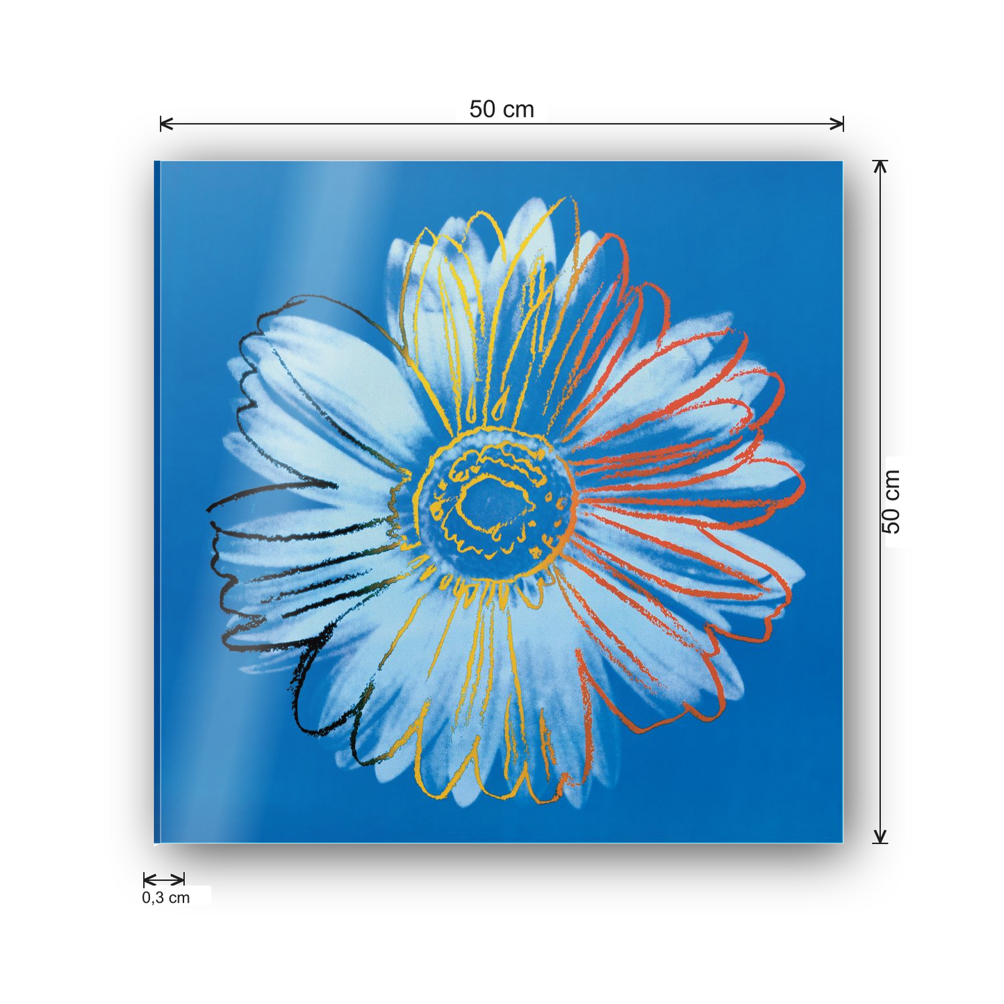 Homage to Warhol - Daisy, C.1982 cm 50x50 - misure