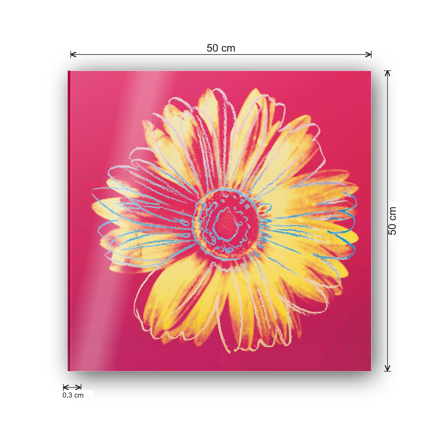 Homage to Warhol - Daisy, C.1982 cm 50x50 - misure