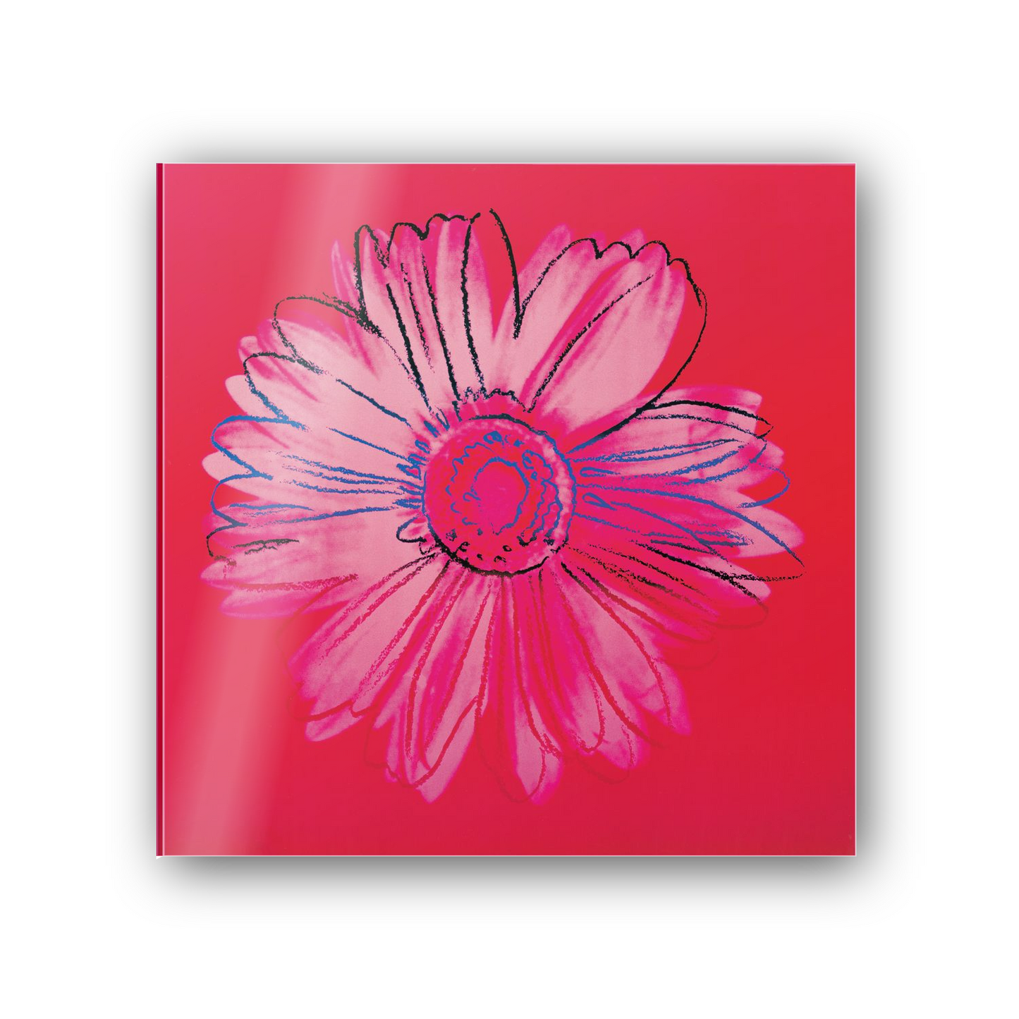 Homage to Warhol - Daisy, C.1982 cm 50x50