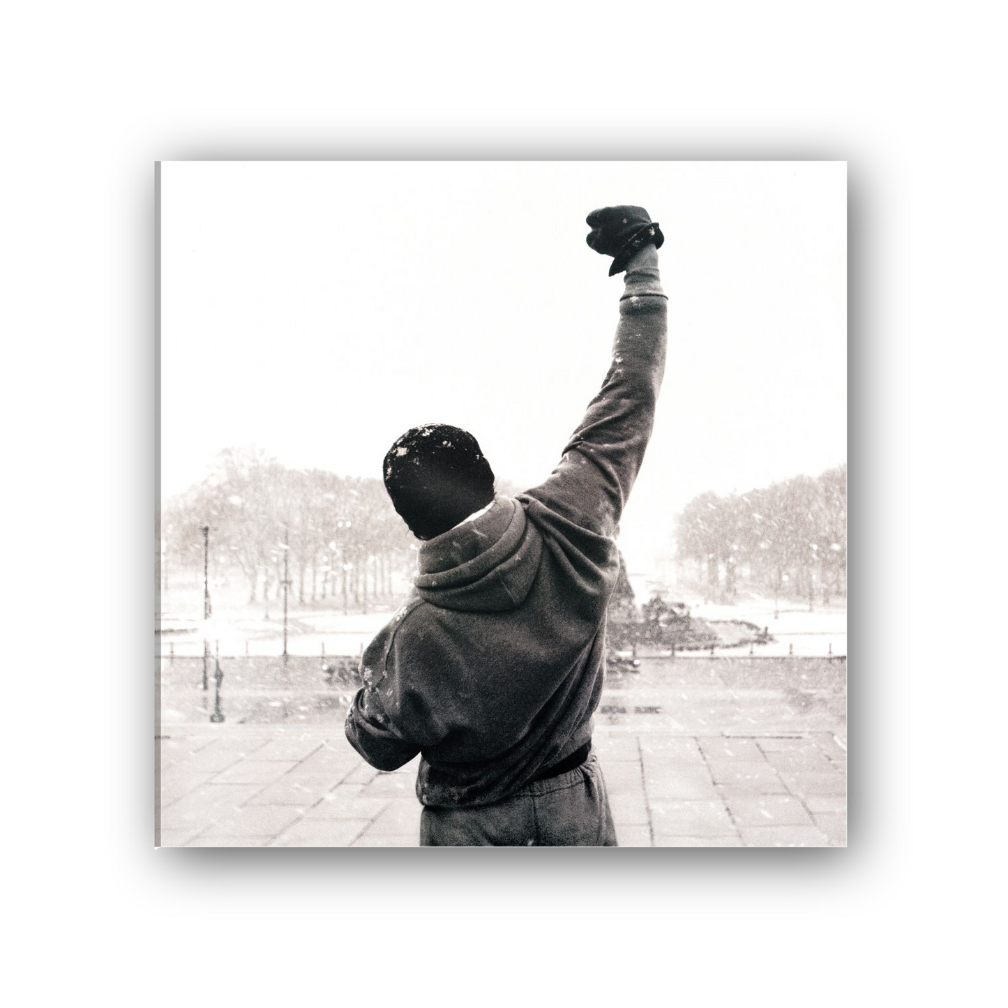 Homage to Rocky Balboa cm 50x50