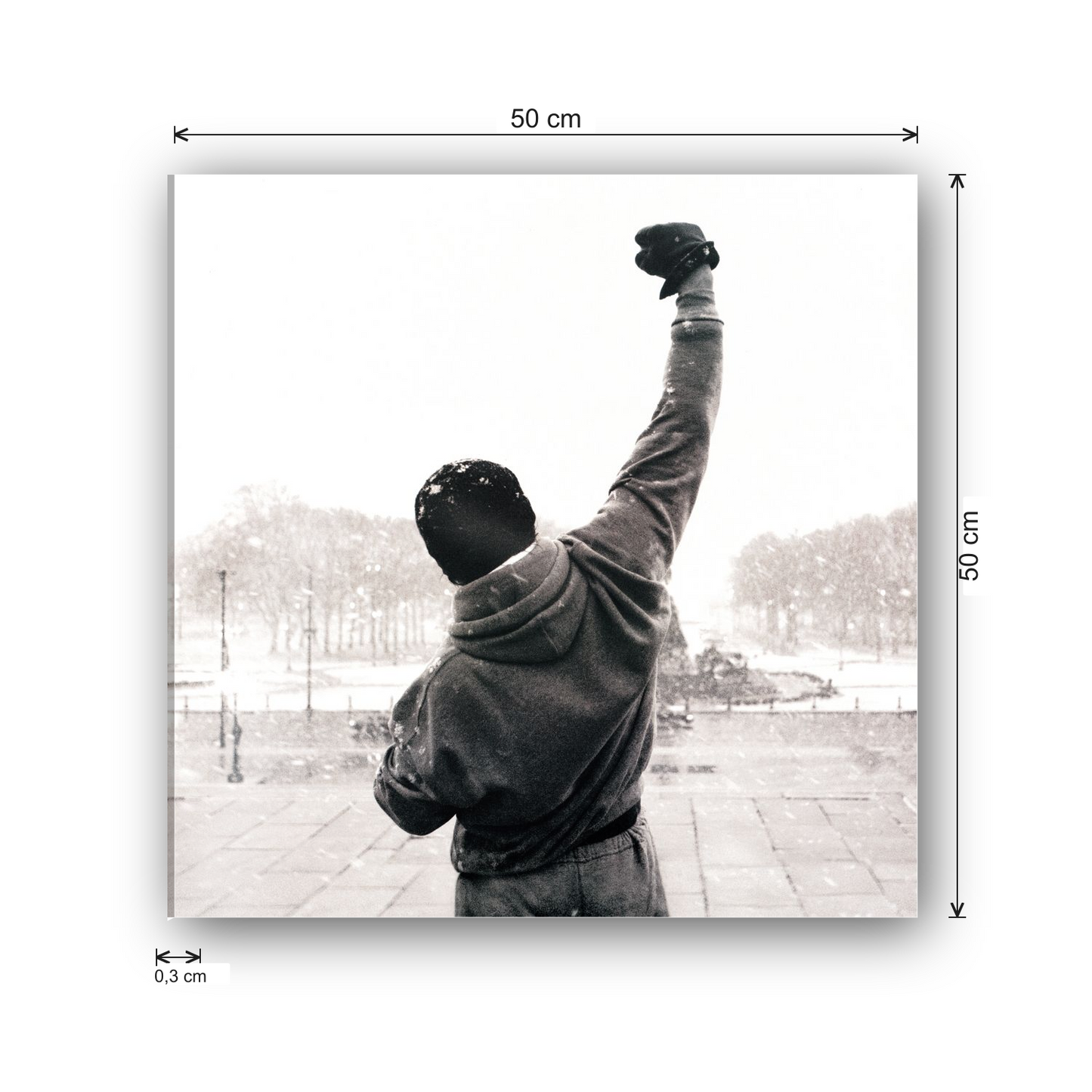 Homage to Rocky Balboa cm 50x50 - misure