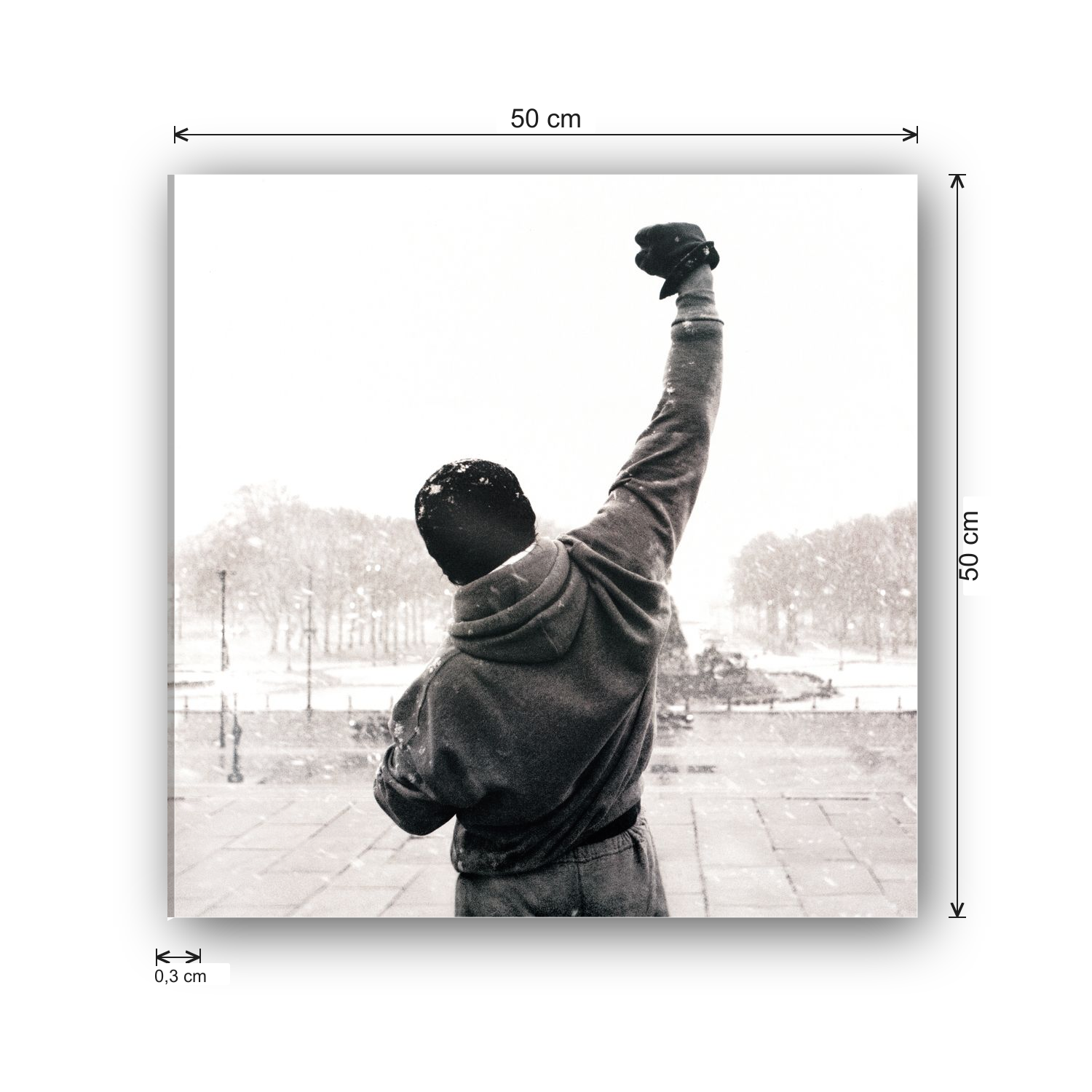 Homage to Rocky Balboa cm 50x50 - misure