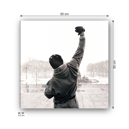 Homage to Rocky Balboa cm 50x50 - misure